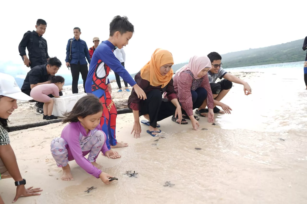 Gubernur Khofifah Lepas Puluhan Tukik di Pulau Tabuhan Banyuwangi, Ajak Masyarakat Galakkan Konservasi Penyu di Jatim