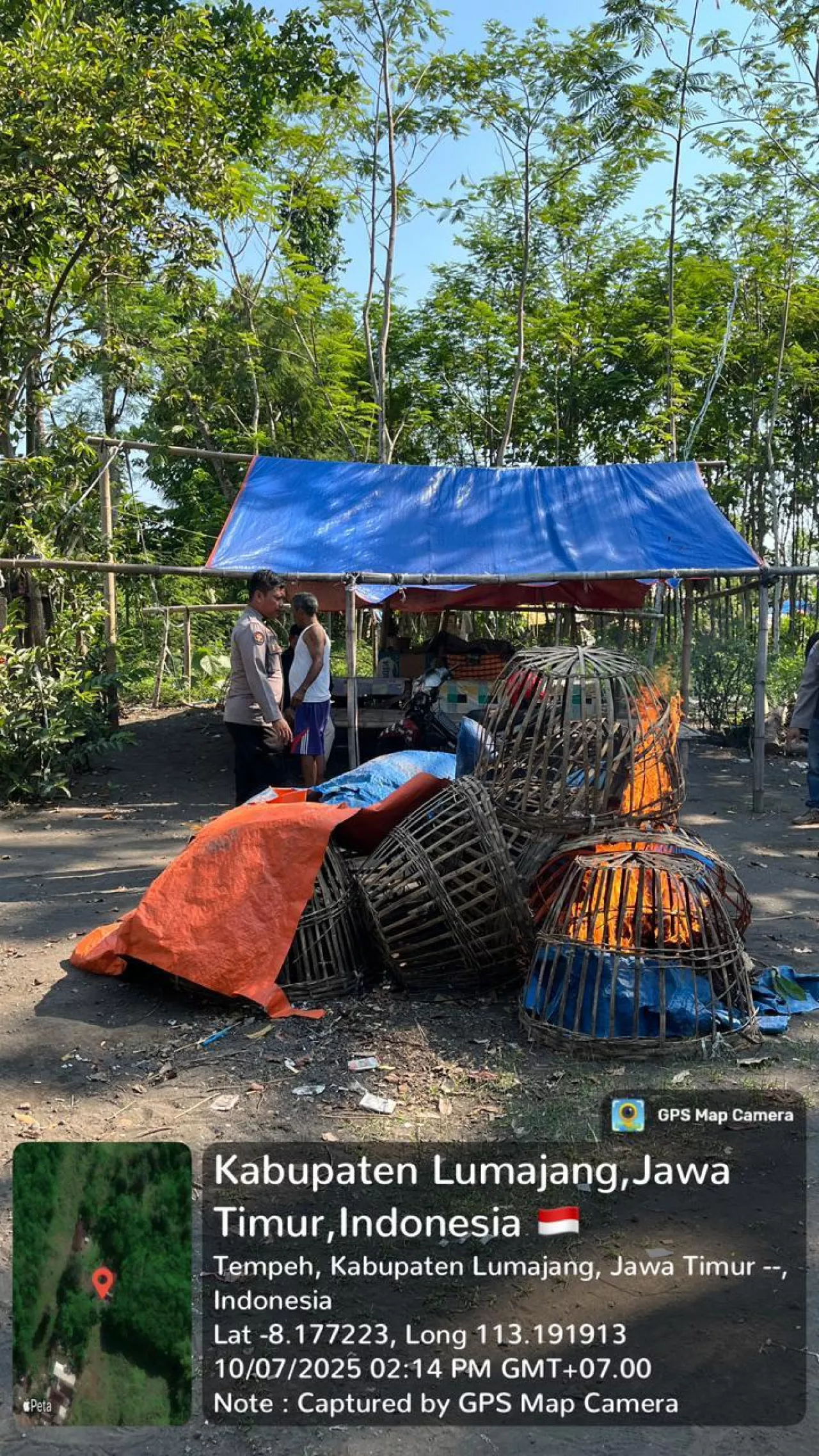 Respon Cepat Pengaduan Masyarakat Polres Lumajang Langsung Bongkar 2 Tempat Arena Sabung Ayam di Lumajang